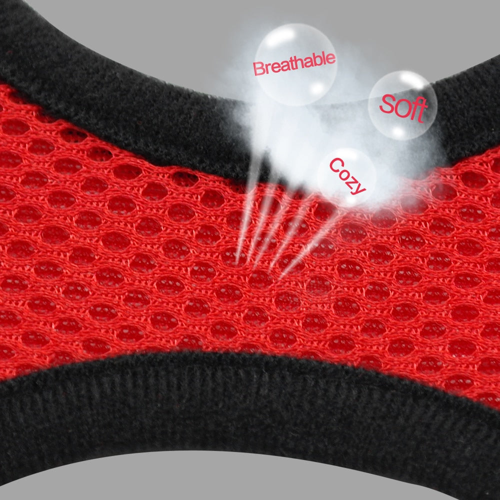Breathable Mesh Small Dog Pet Harness and Leash