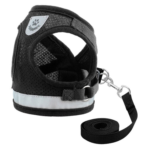 Dog Harness for Chihuahua Pug Small Medium Dogs