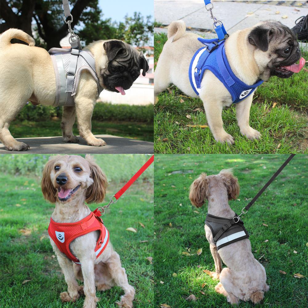 Dog Harness for Chihuahua Pug Small Medium Dogs